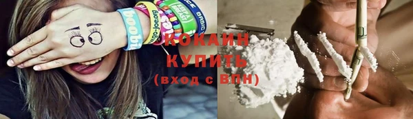 мдпв Гусев