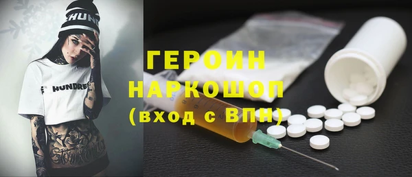 мдпв Гусев
