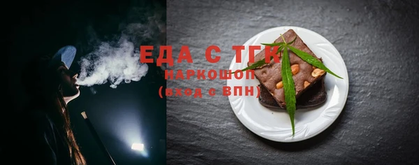 мдпв Гусев