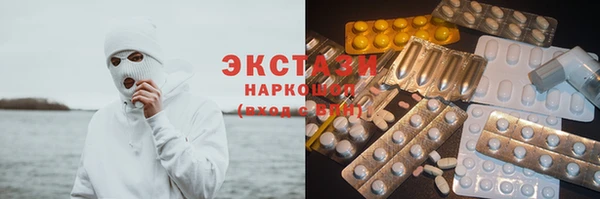 мдпв Гусев