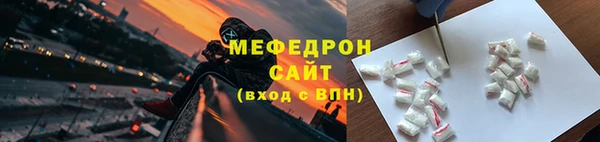 мдпв Гусев