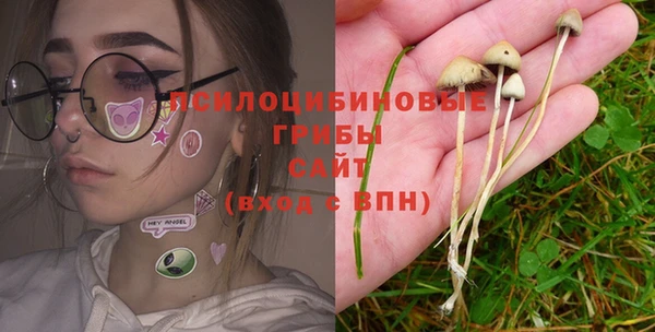 круглые Гусиноозёрск