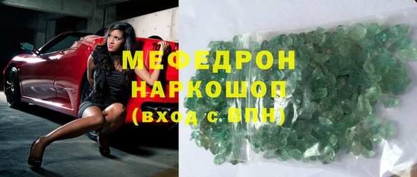 мдпв Гусев