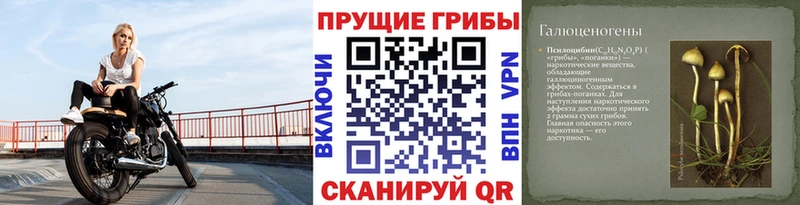 Купить  Озёрск  Галлюциногенные грибы Magic Shrooms